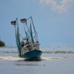 OTRA2014_1532 (September 03, 2014)